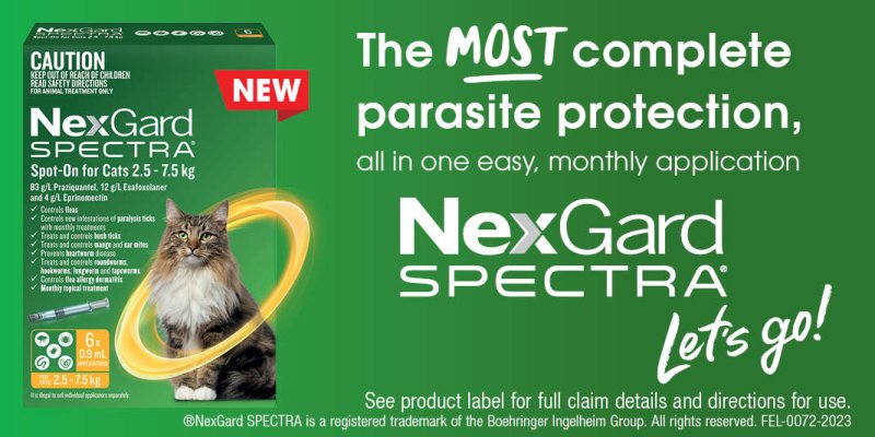 NexGard Spectra Spot on For Cats 0.8kg-2.4kg
