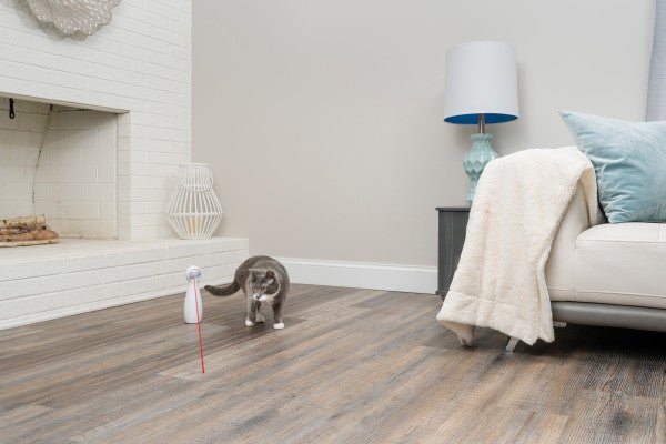 PetSafe® BOLT Automatic Laser Light