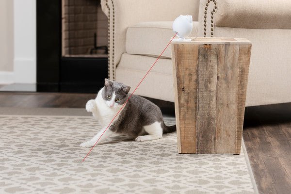 PetSafe® Dancing Dot™ Laser Cat Toy