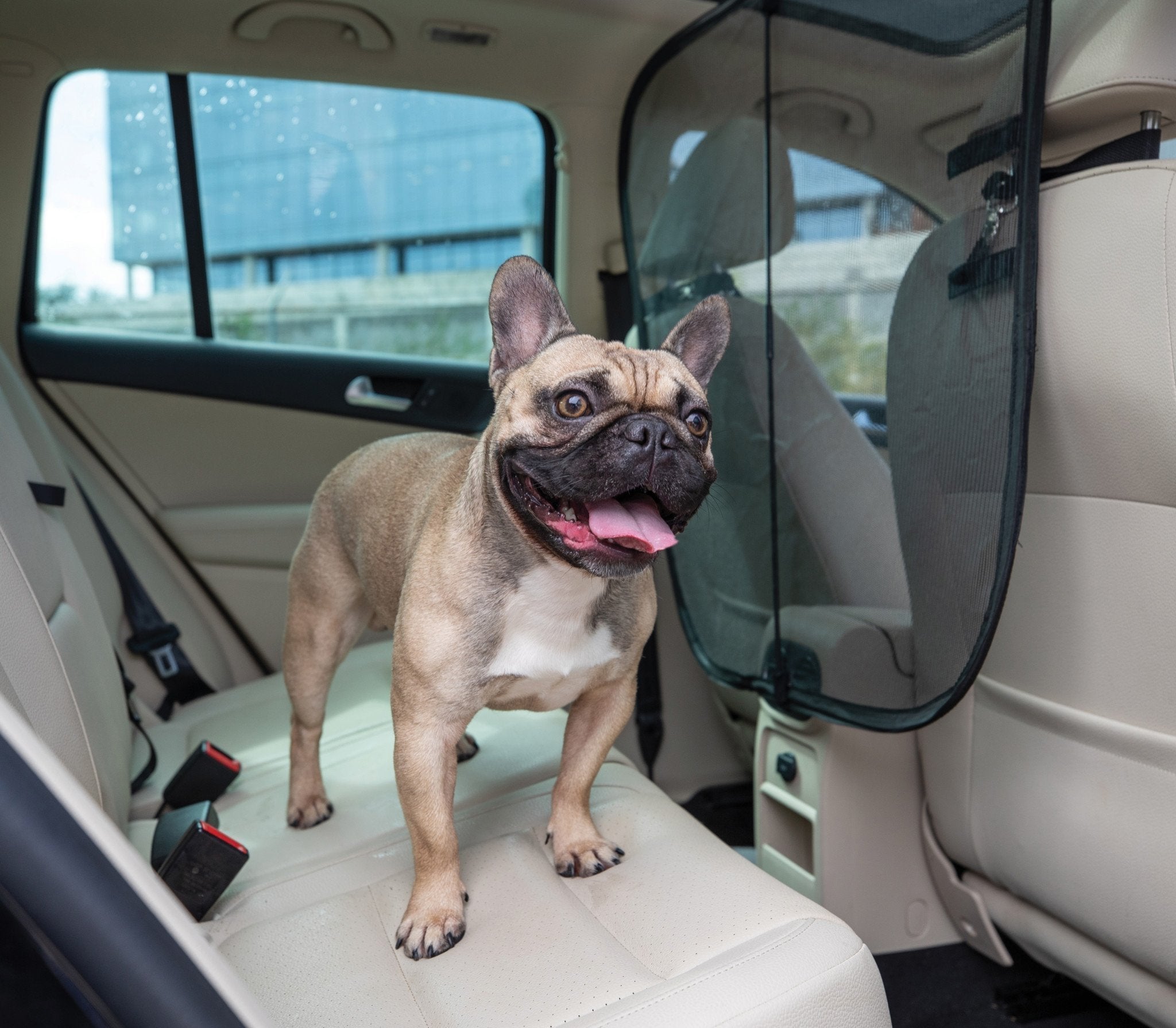 PetSafe® Happy Ride™ Dog Barrier